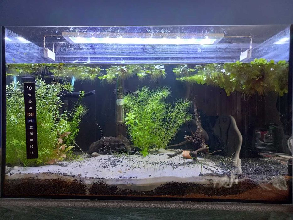 Kruger Meier 12 W lampa na krawędź akwarium 39-50cm