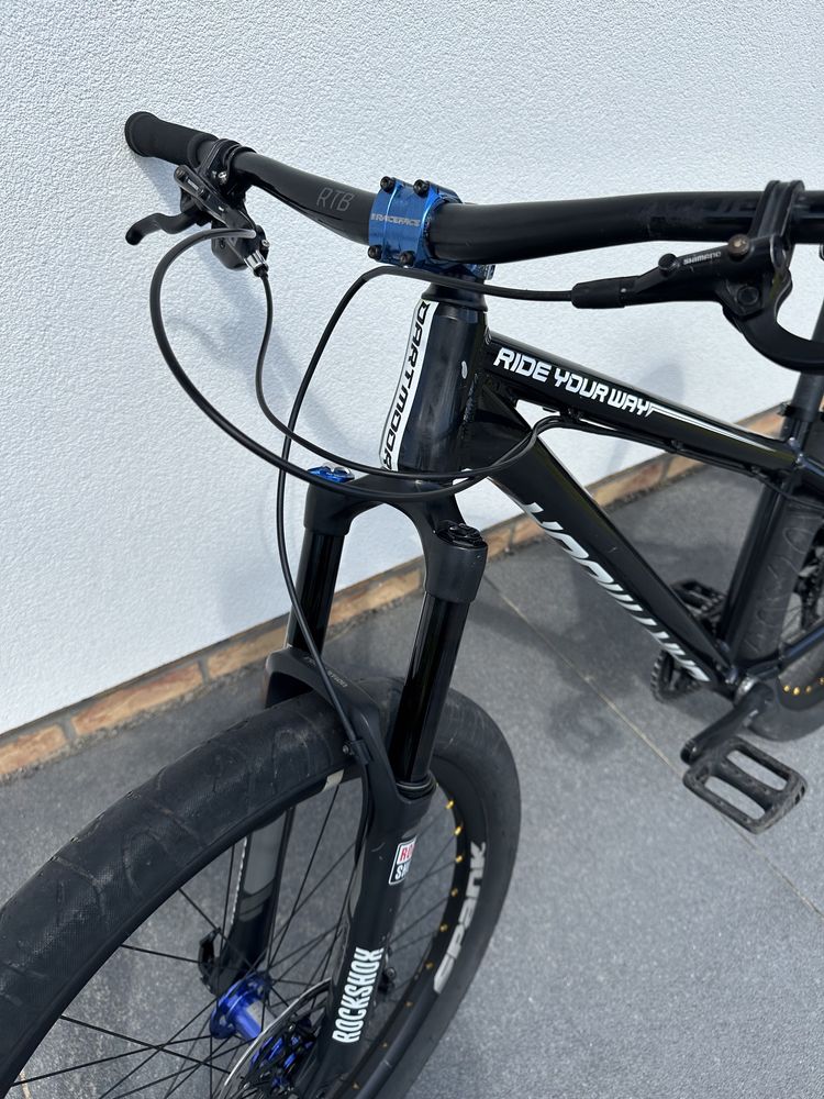Dartmoor Hornet 4x [NOA Hubs,Spank,Carbon]