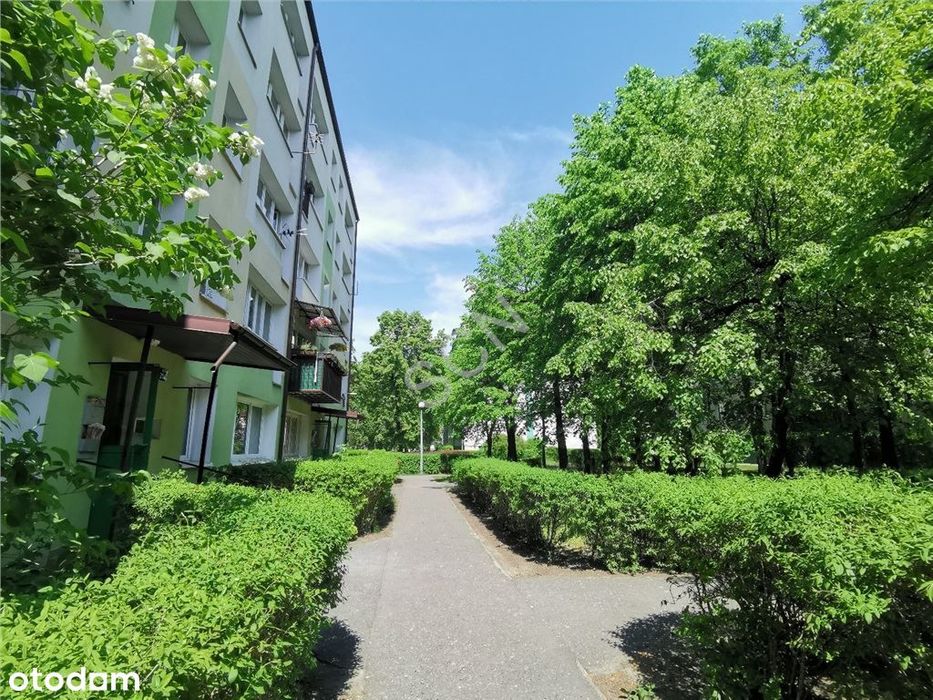 Ciche Mieszkanie Blisko Stacji Skm Legionowo