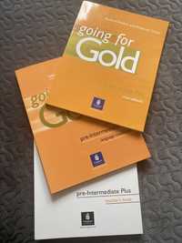 Going for Gold pre-itermediate Plus
