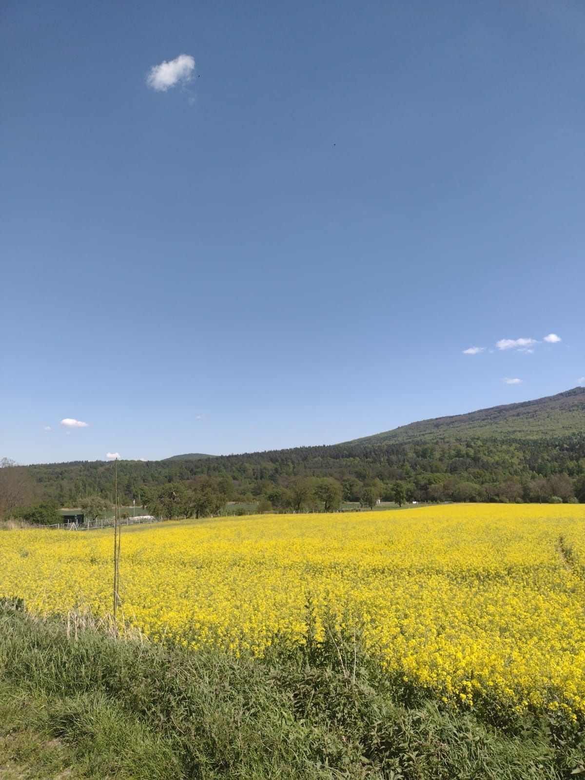 DZIAŁKA 5.400m2 Śliczna-Jedyna Pod ŚLĘŻĄ !!