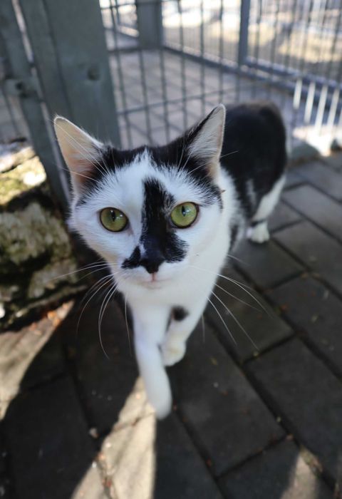 Szprotka czeka na dom...