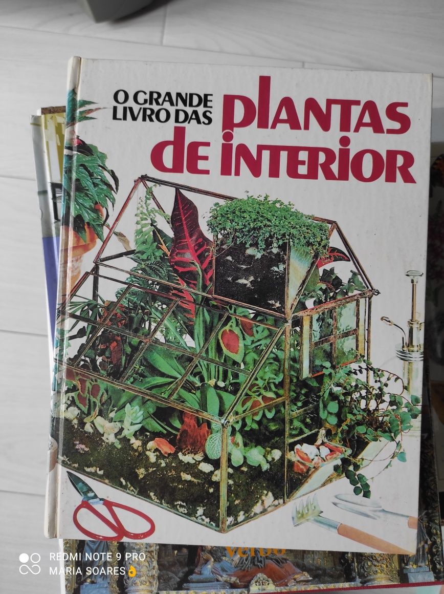 Plantas de interior