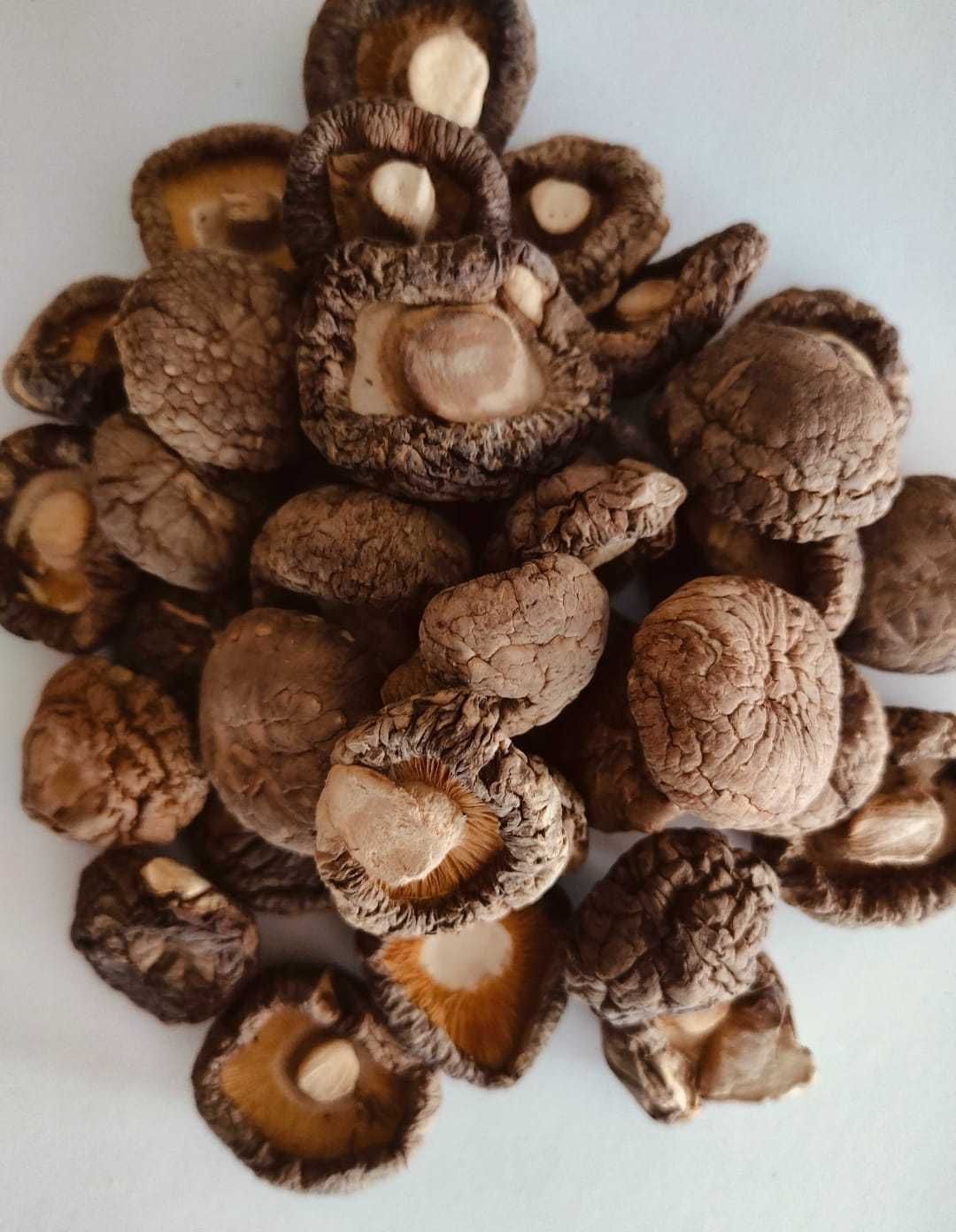 Twardnik Japońsk - Shiitake  (cały, suszony) 100g