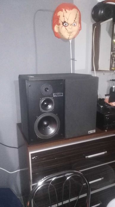 Kolumny Magnat SonoBull monitory