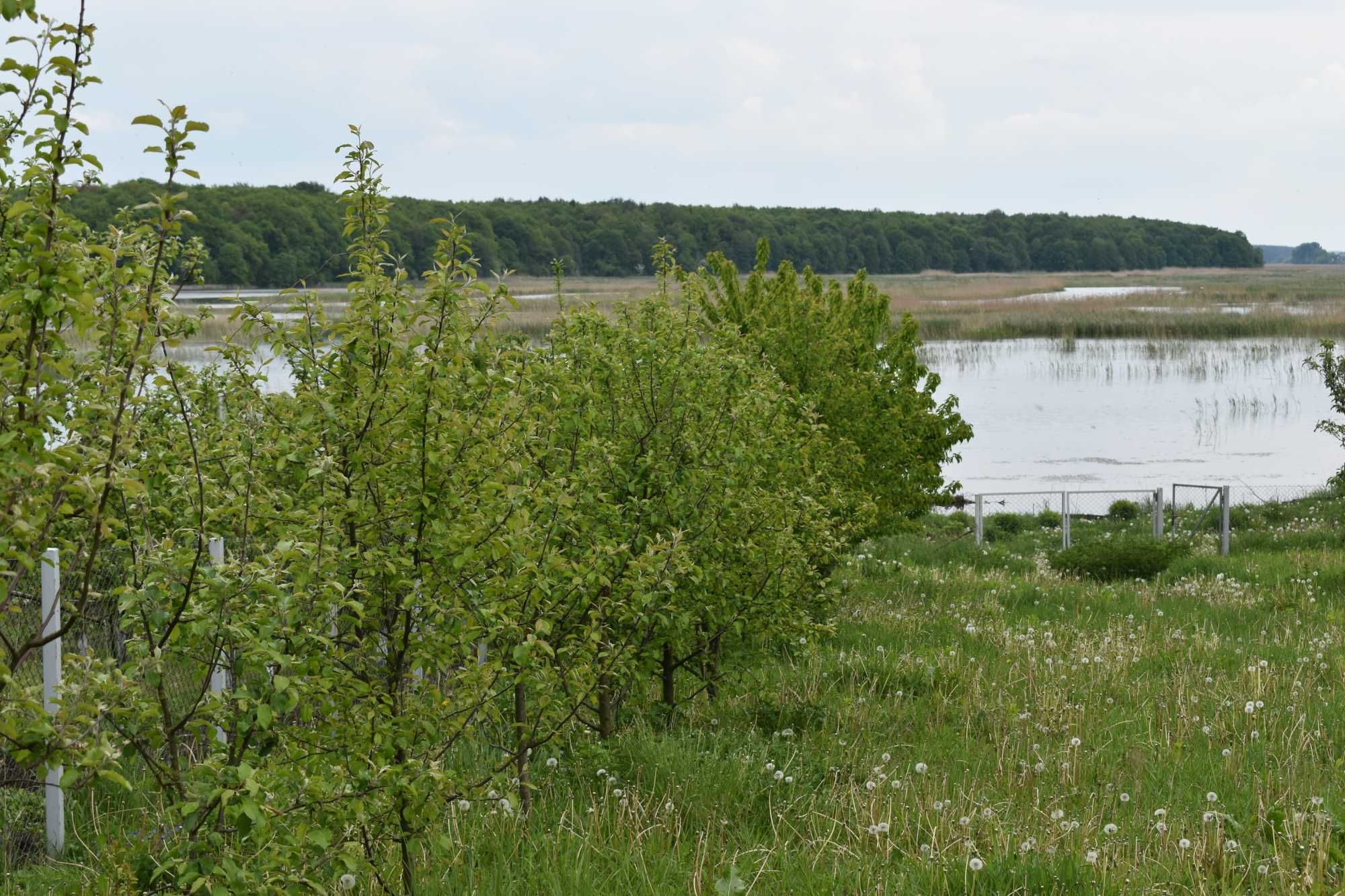 Продаж відпочинкового будинку бані, с. Липа (біля Хрінники)