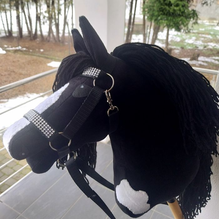 Hobby Horse-koń na kiju