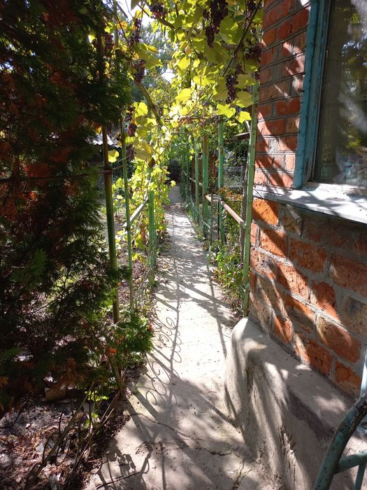 Продам дачу в садовом кооперативе "Мукомол" рядом пгт Малокатериновка