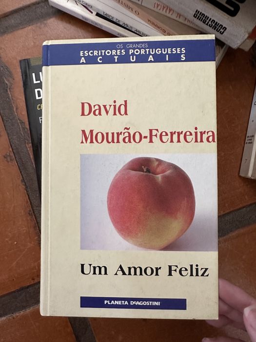 Livro David MourãoFerreira - Um Amor Feliz