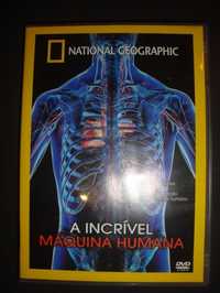 "A Incrível Máquina Humana" - DVD National Geographic