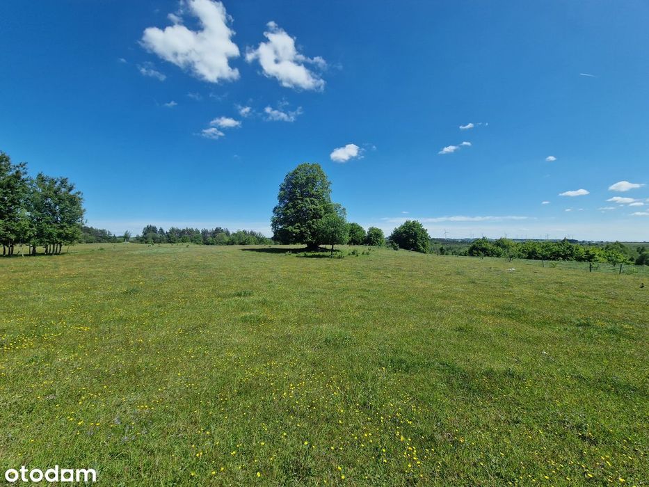 Piękna duża działka. Inwestycja w ziemię. Blisko lasu i wody.