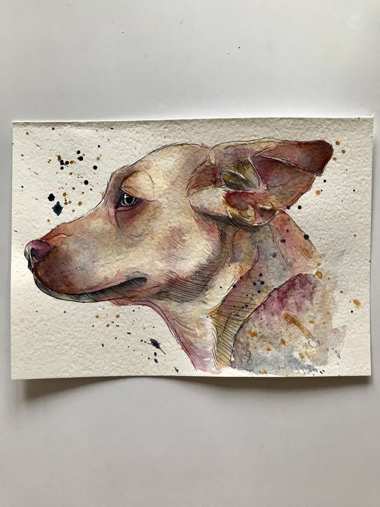Własnorecznie malowany obraz akwarelowy A5 - Pies handmade