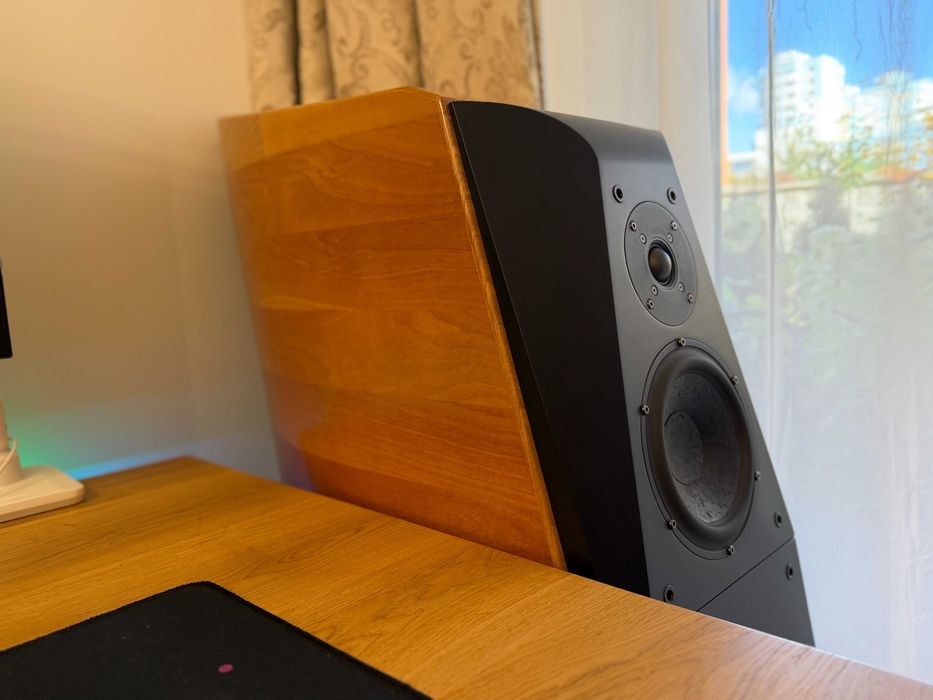 ‼️ Hi End акустика Usher CP-8571 Mk1, 2*150 Вт, грудной бас, 80+ кг