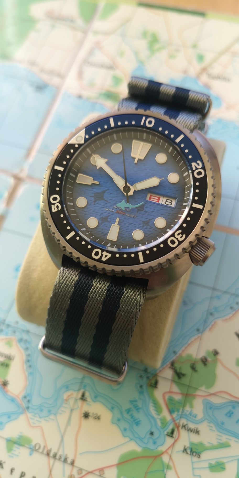 Zegarek custom King Turtle/Manta Ray Save The Ocean/Titanium/Automatic