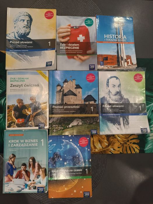 Książki do szkoły średniej 1 pierwszej klasy