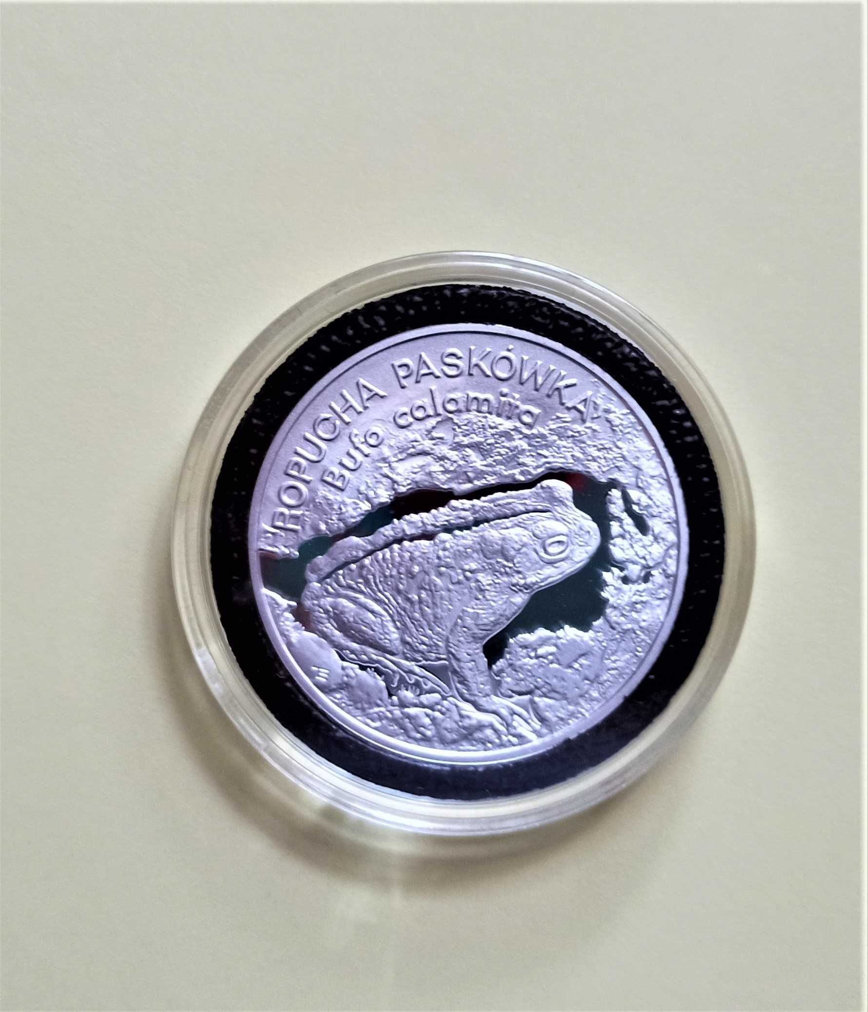 20 zł Ropucha Paskówka 1998 r.
