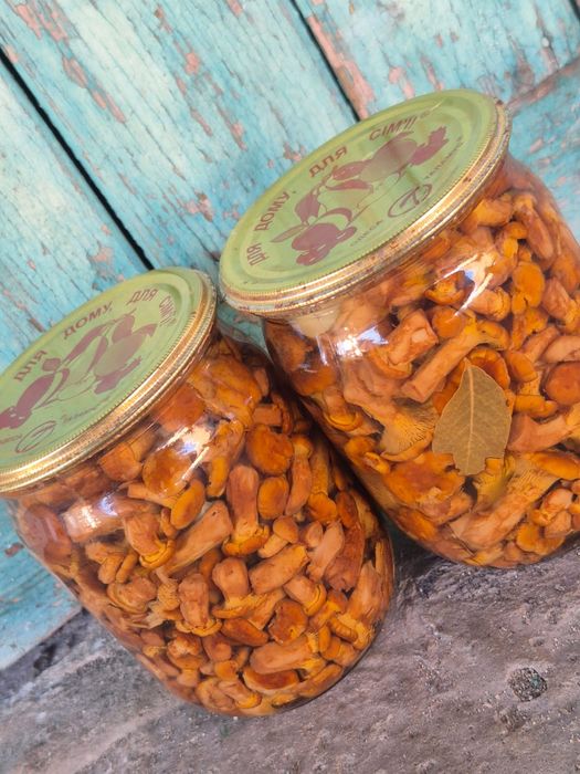 Мариновані гриби