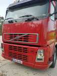Volvo animais vivos