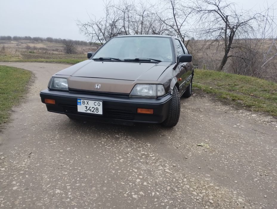 Цівік в бомбічному стані.