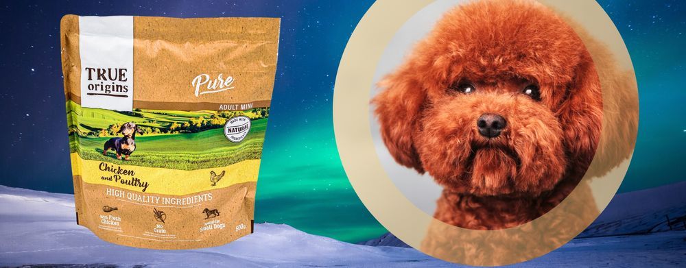 Sucha Karma Premium Dla Psa Bezzbożowa Kurczak 3 X 500G True Origins
