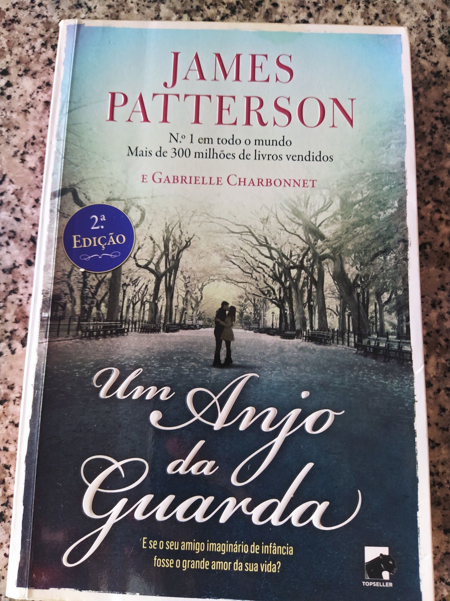 Livro de James Patterson Um Anjo da Guarda