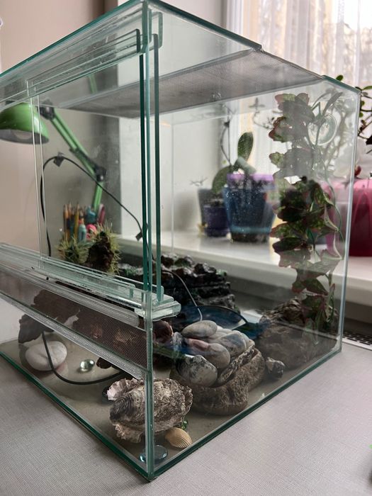 Тераріум для еублефара (рептилії) 35 см Х 35 см