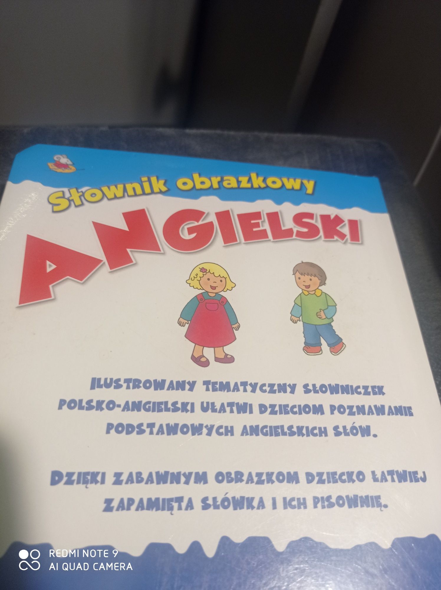 Słownik obrazkowy Angielski Anna Wiśniewska, Joanna Myjak