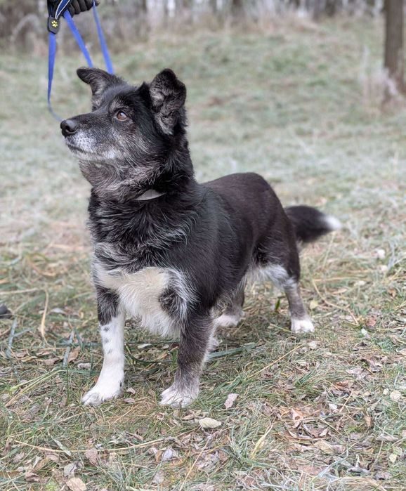 Manga- może los się do niej uśmiechnie