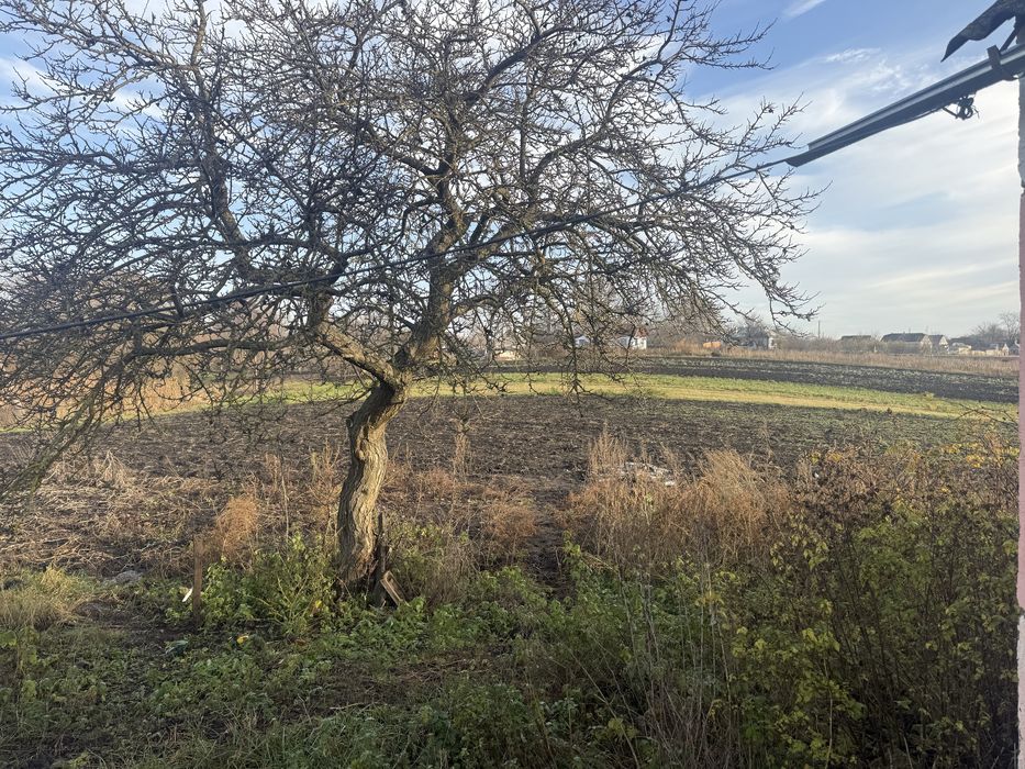 Житловий будинок с. Філіопіль