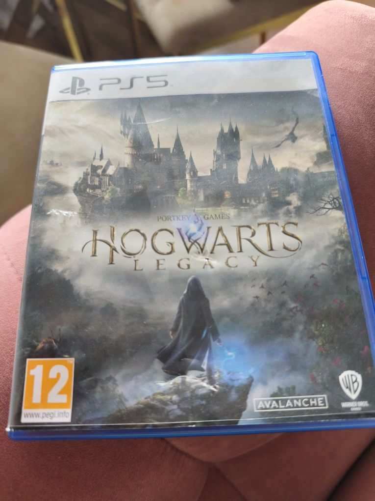 Gra Hogwarts Legacy PS5