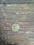 Moneta 1 Pfenning 1828