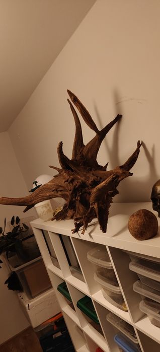 Korzeń XXL do akwarium lub terrarium