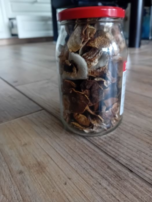 Grzyby suszone prawdziwki