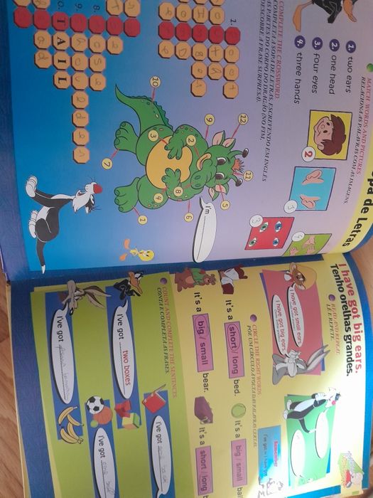 Coleção livros inglês junior