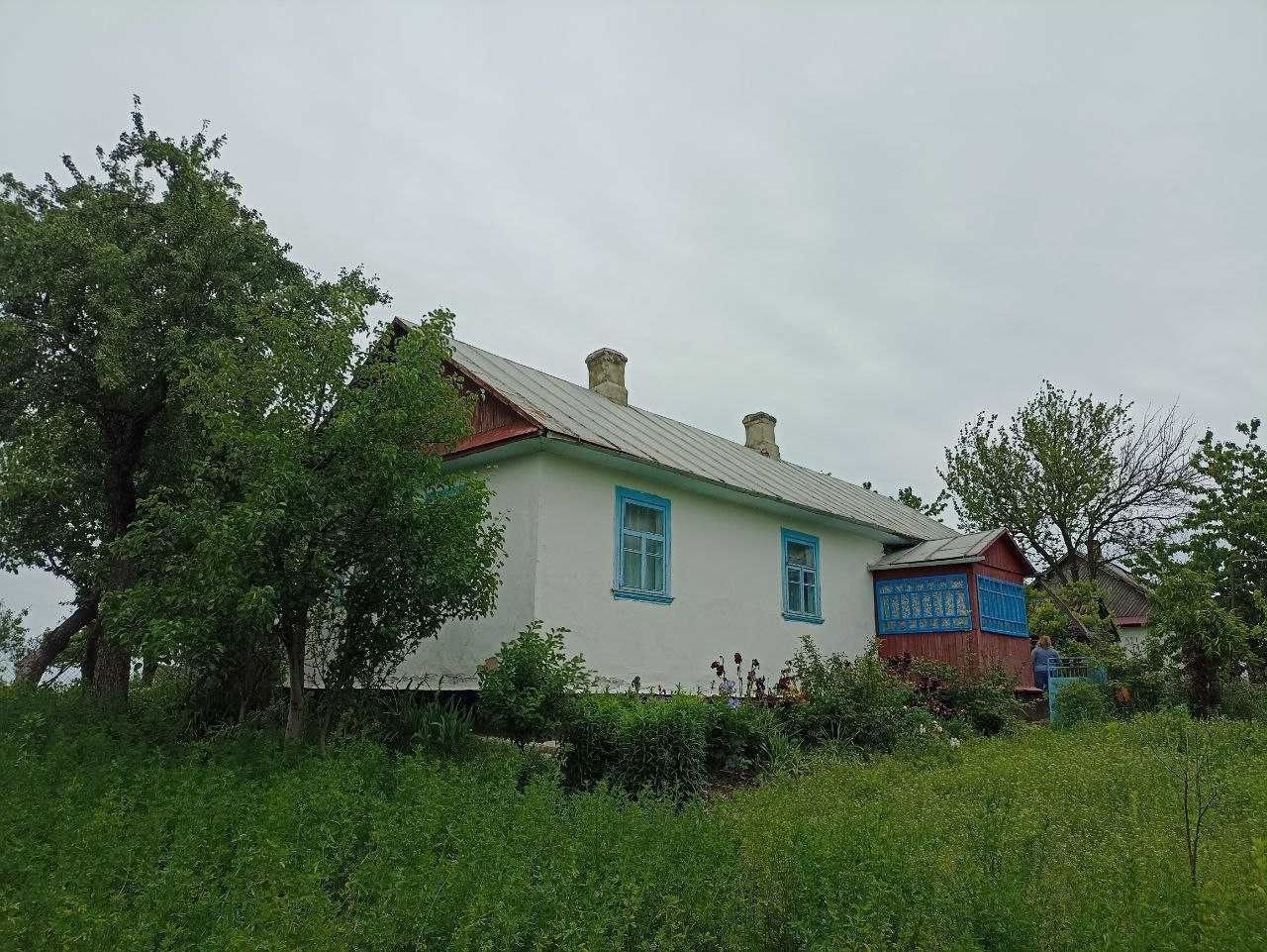 Продаж будинку в Бабині