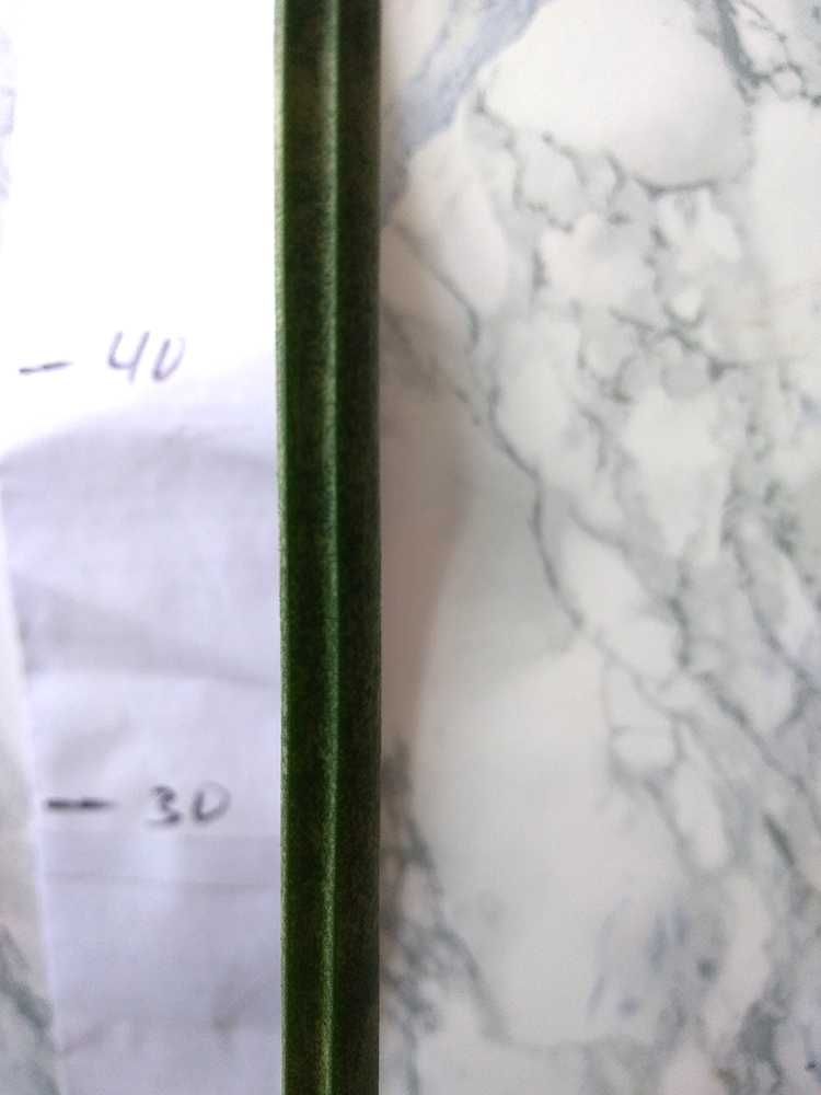 Продам Сансев’єрія сорт Бакуларіс / Sansevieria Bacularis