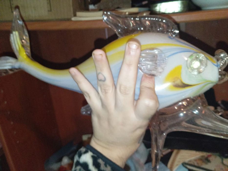 Peixe marinha grande