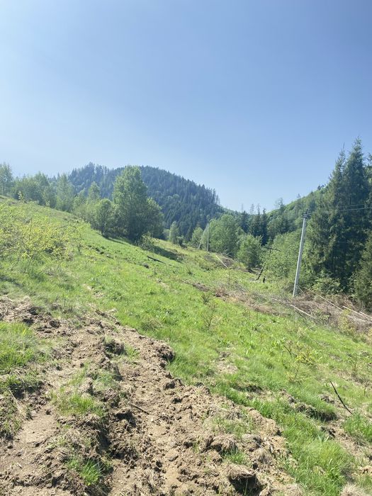 Земельна ділянка