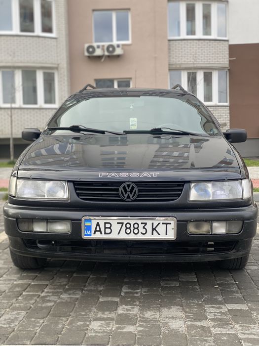 Продам вірного коника