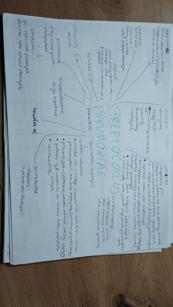Notatki mikrobiologia