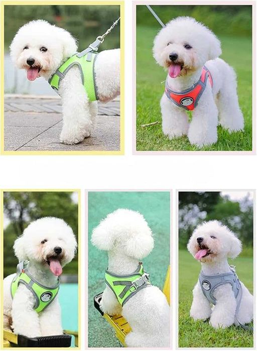 Odblaskowa uprząż szelki dla psa koralowe, L + smycz gratis