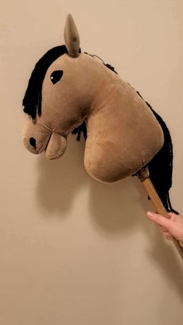 HOBBY HORSE(koń na patyku)sprzedaje razem ze sprzętem!