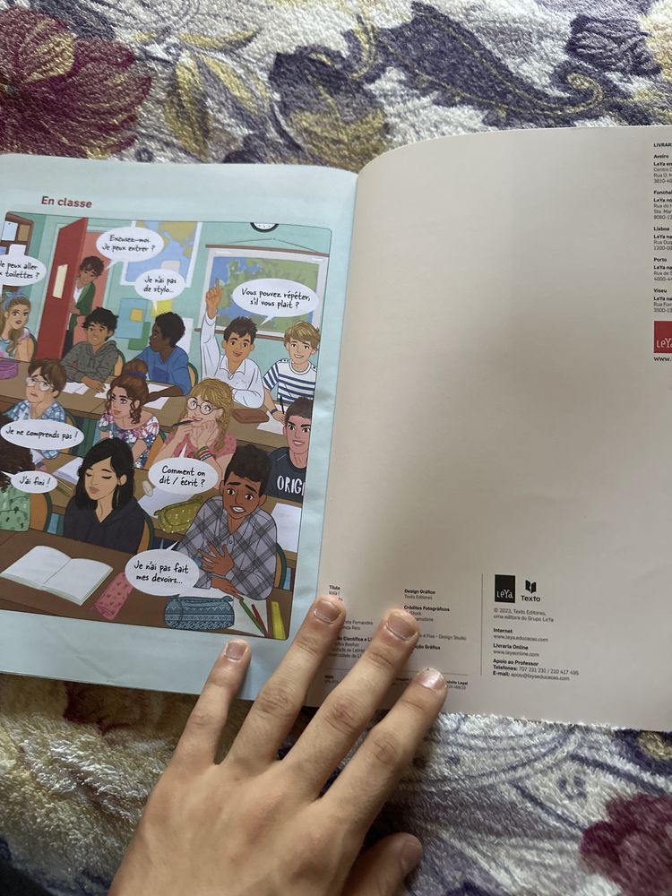 manual de Francês 9 ano (Voilà!)