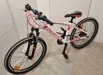 Rower Kross Replica 24"
