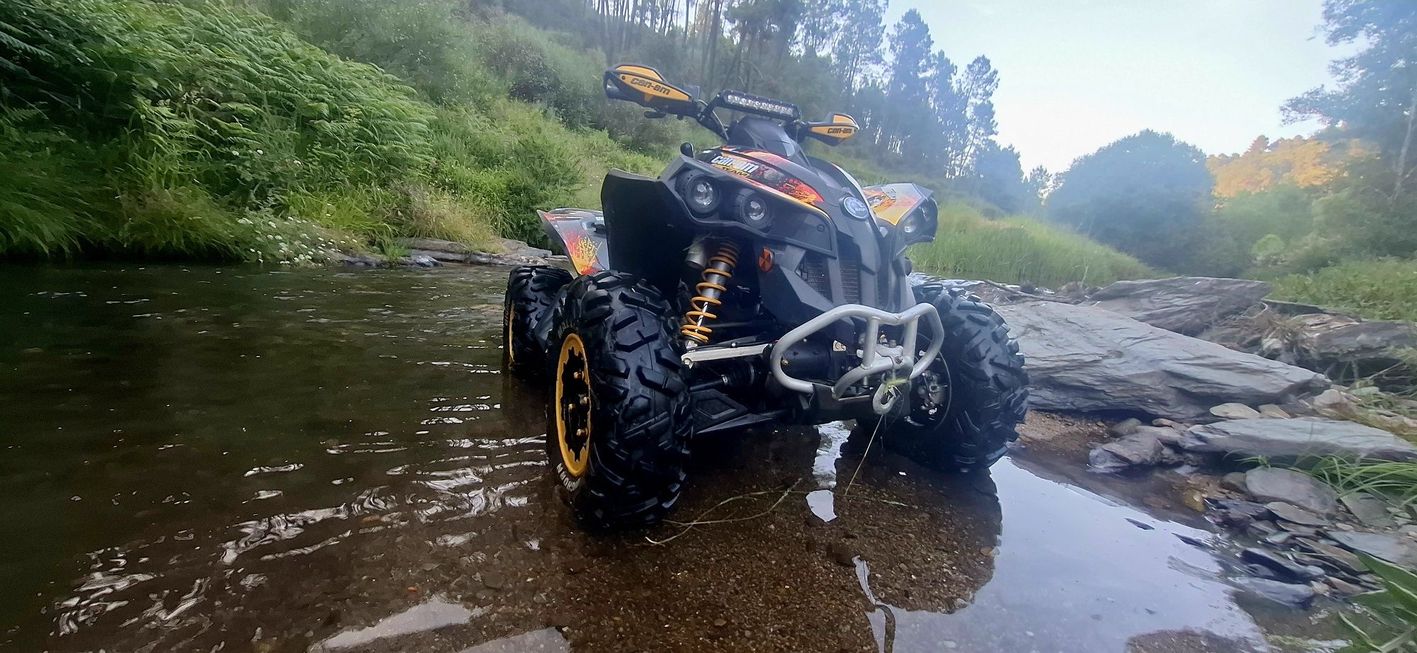 Can am renegade 800x