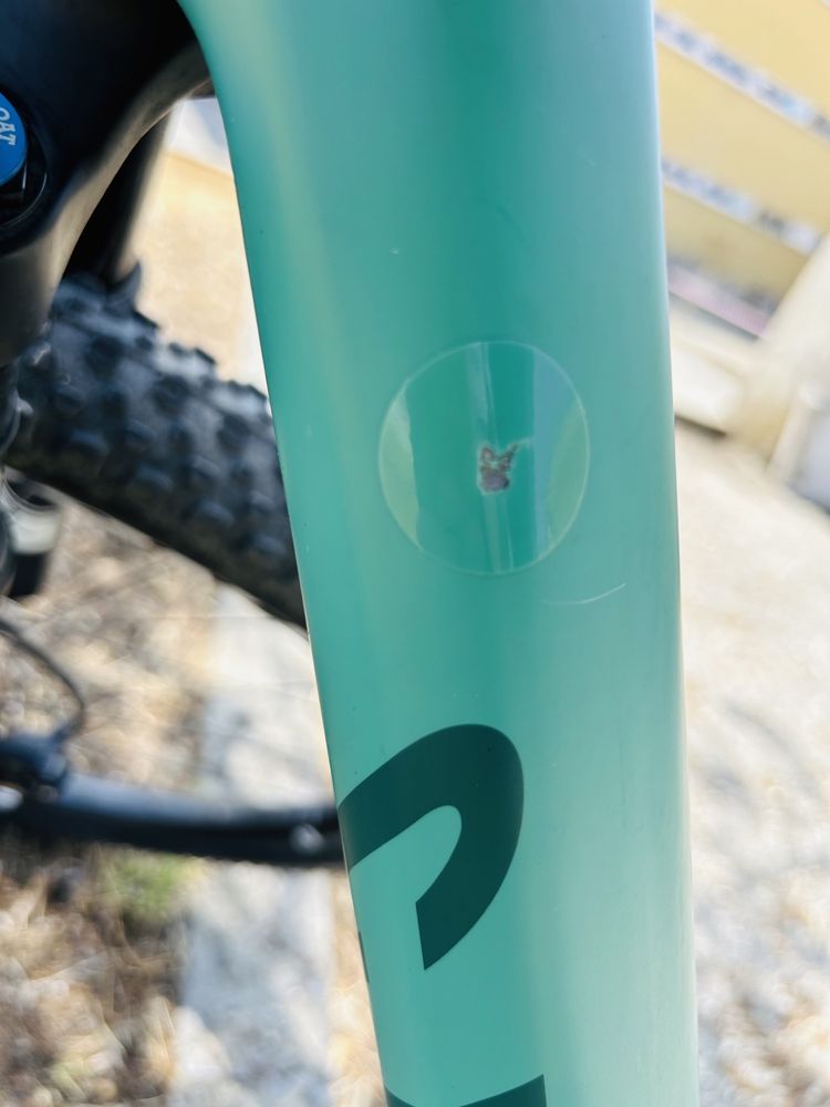 CANYON  Exceed CF 7 (2024)
