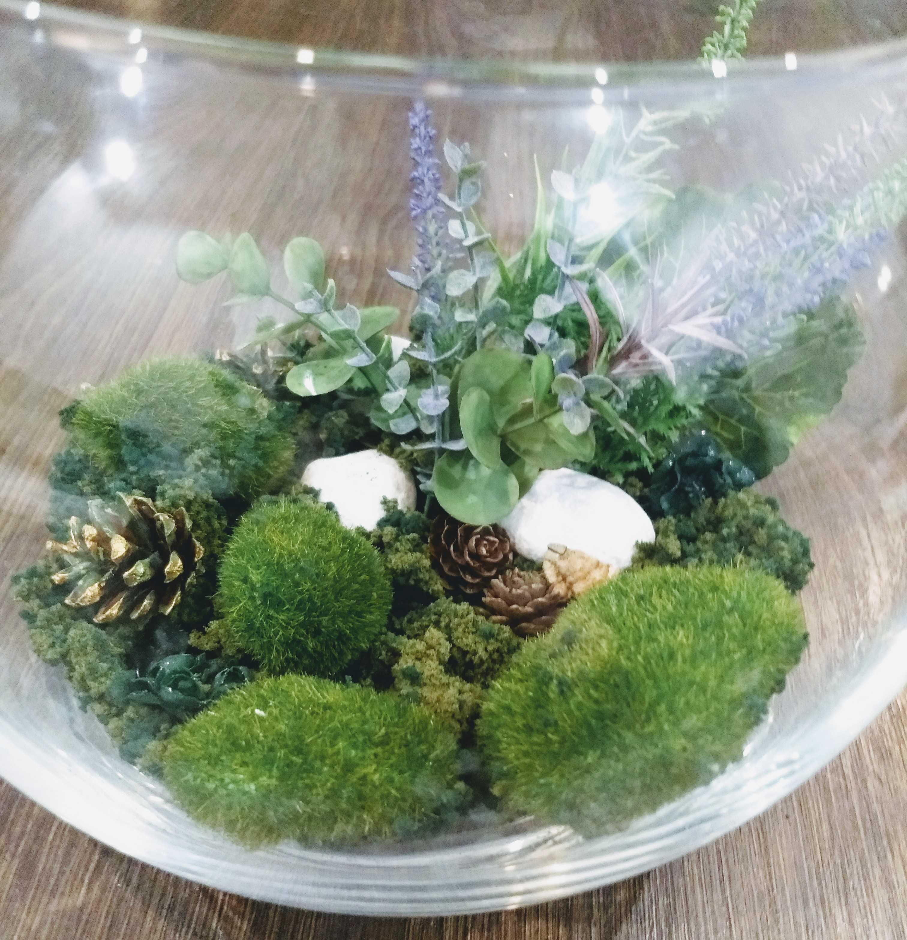 Ogród, las w szkle, ozdobna kompozycja florystyczna w szklanej kuli.