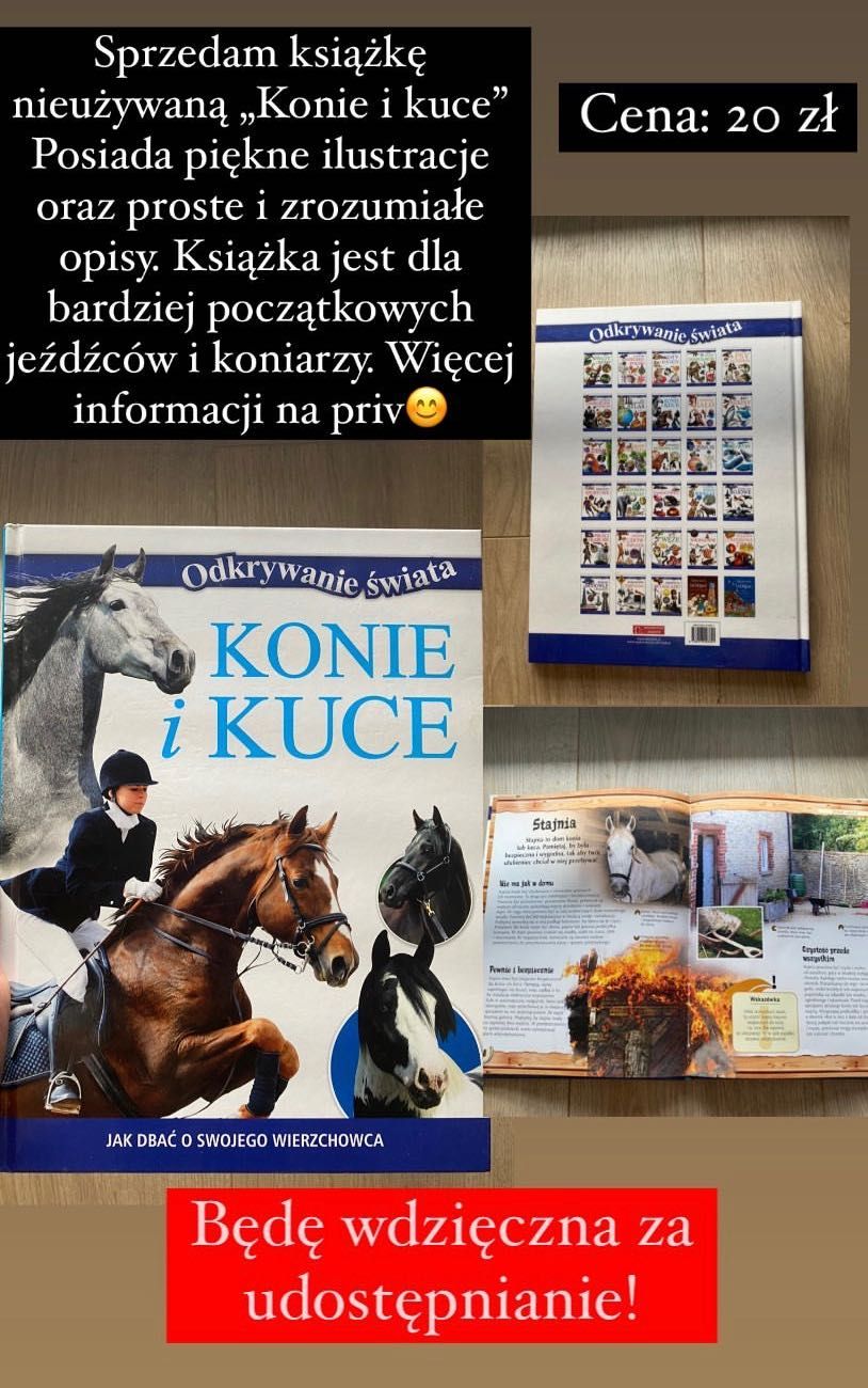 Nieużywana książka „Konie i Kucyki”