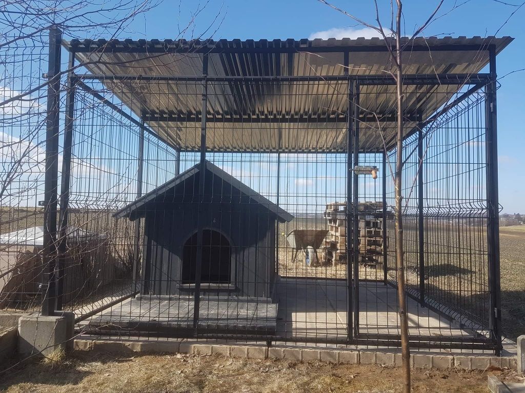Kojec dla psa 3x2m, panel3D.