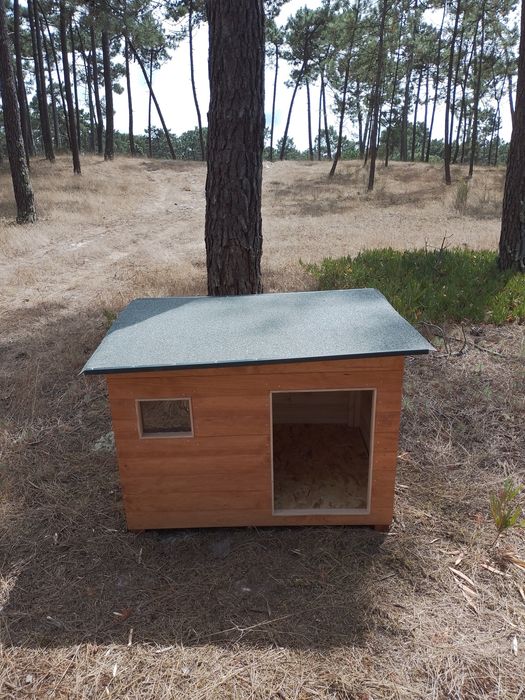 Casota para pastor alemao